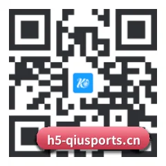 系统版 iOS 二维码